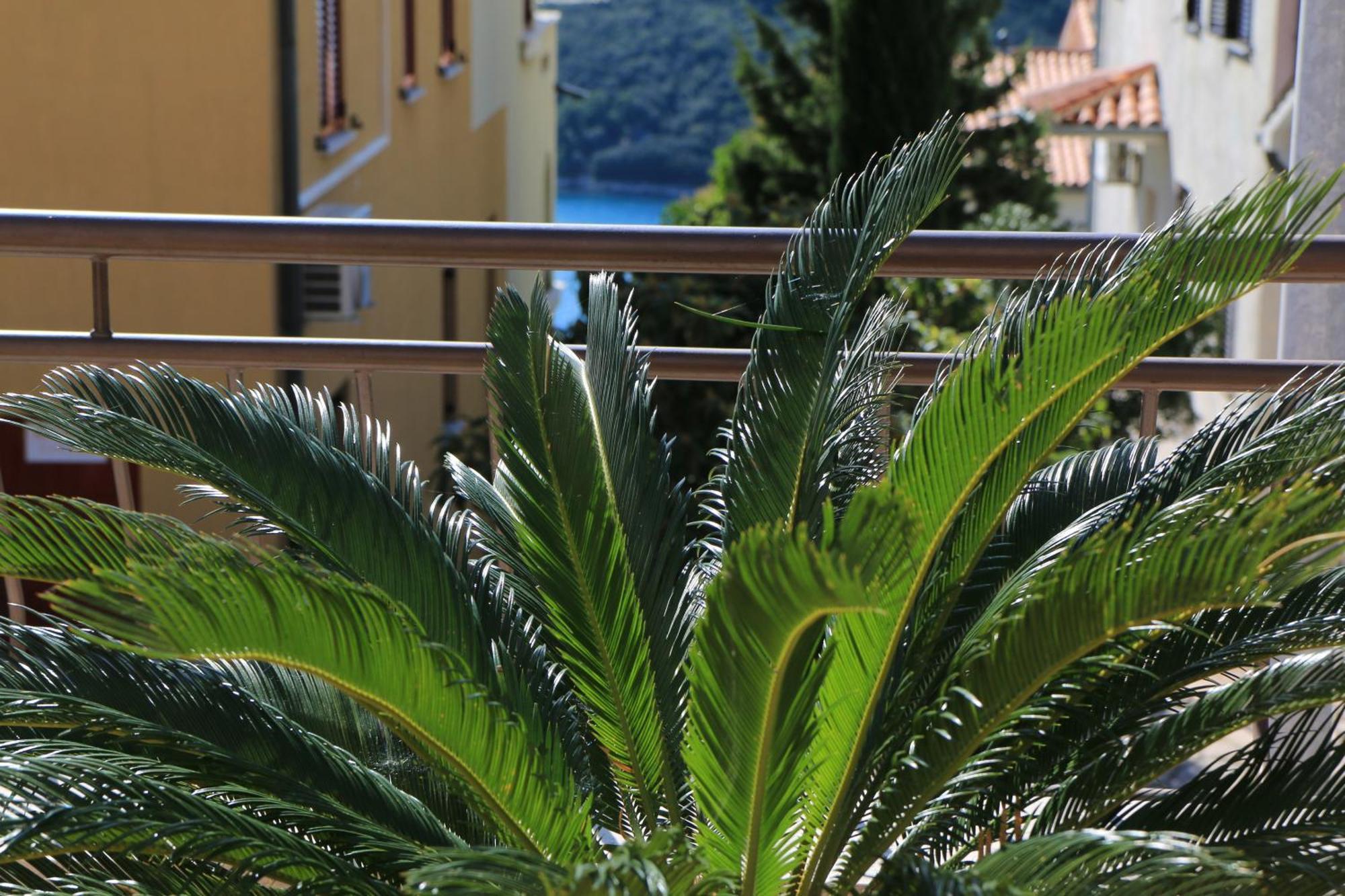 Apartments With A Parking Space Rabac, Labin - 7429 Exteriör bild